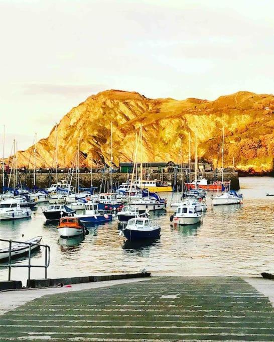 Paramount Apartments Ilfracombe, Arty Seaside Holiday Apartments Buitenkant foto