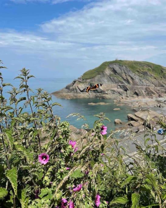 Paramount Apartments Ilfracombe, Arty Seaside Holiday Apartments Buitenkant foto